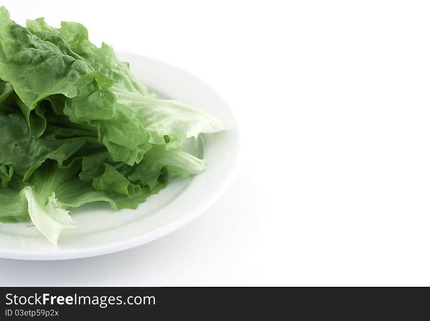 Fresh green lettuce on white backgroud