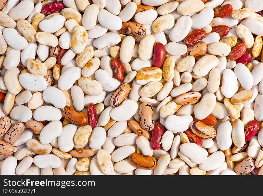 Multicolored beans organic background