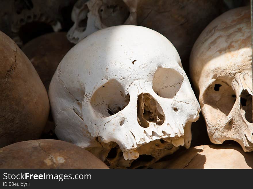 White skull from a grave of Khmer Rouge victims