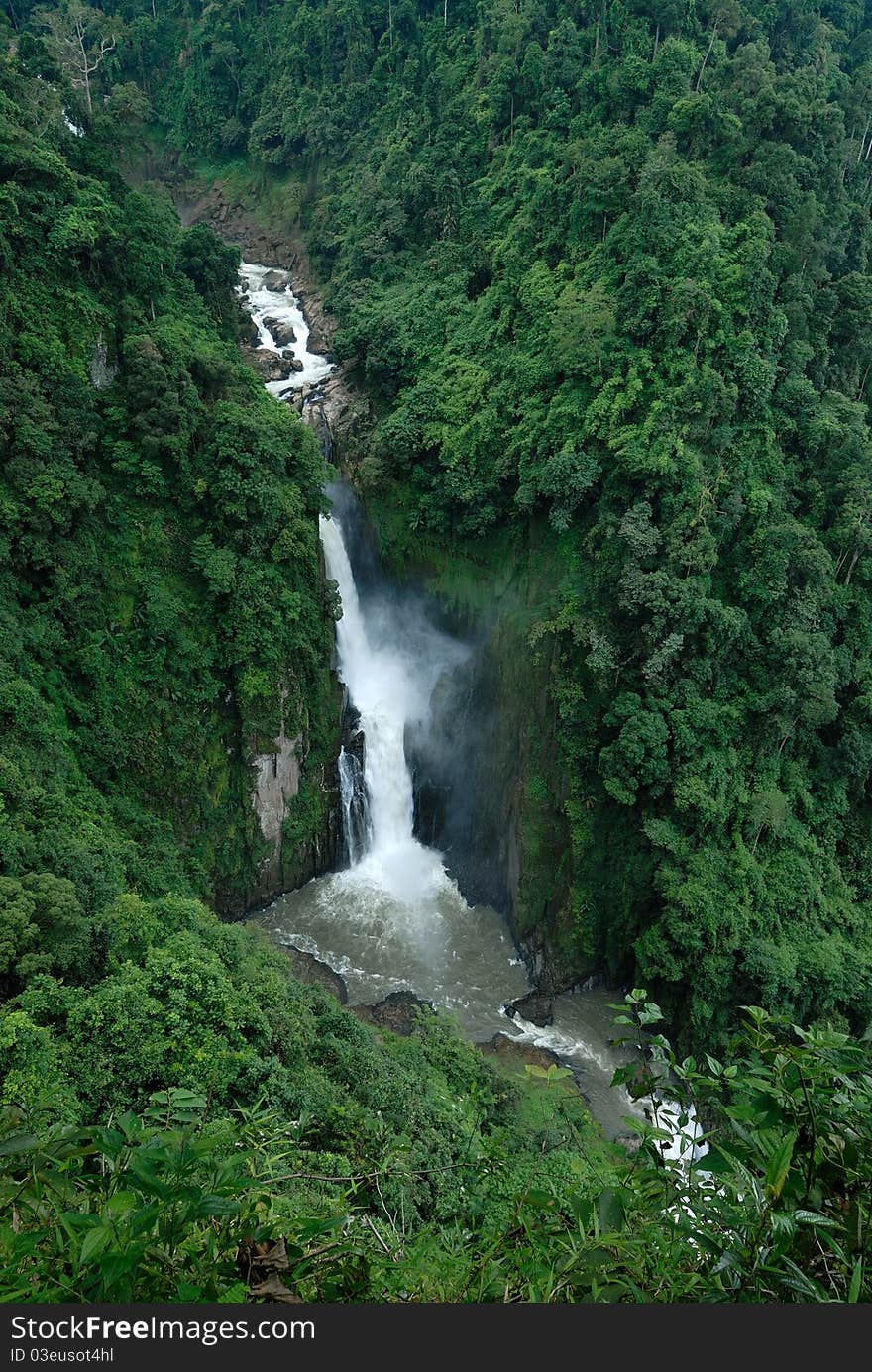 Waterfall jungle