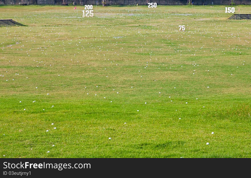 Golf ball on the fresh green grass in golf course