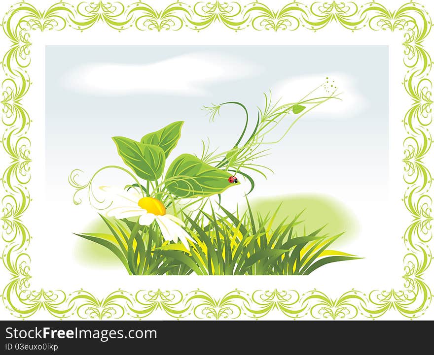 Chamomile and ladybird among grass in the decorative frame. Illustration. Chamomile and ladybird among grass in the decorative frame. Illustration