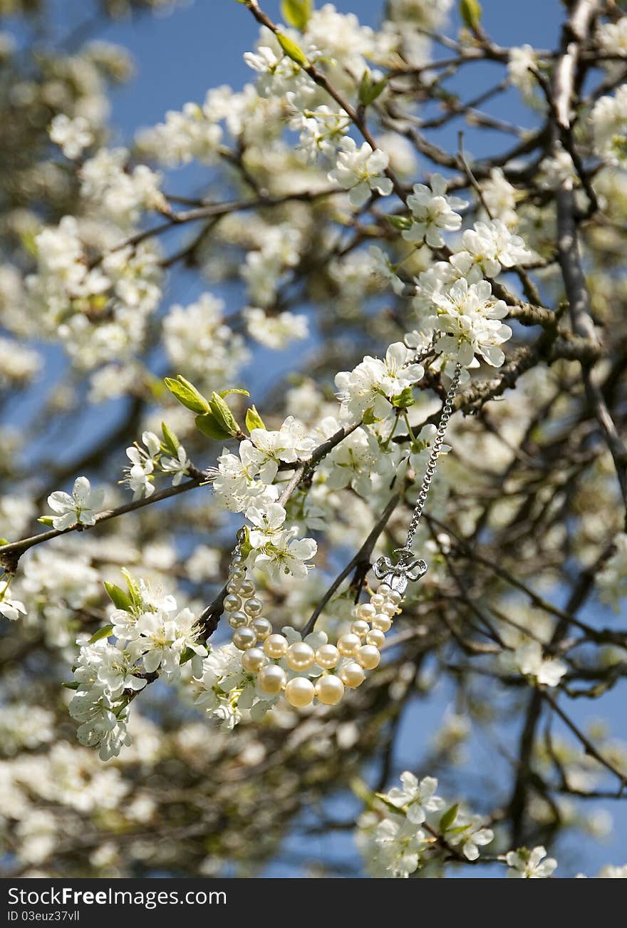 Necklace in a tree that is in blossom