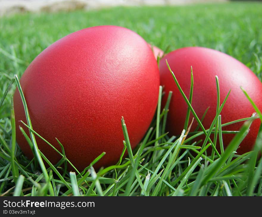 Red Easter eggs in a grass background. Red Easter eggs in a grass background