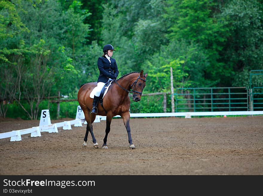 A young equestrian girl during a dressage test on a Quarter horse. A young equestrian girl during a dressage test on a Quarter horse