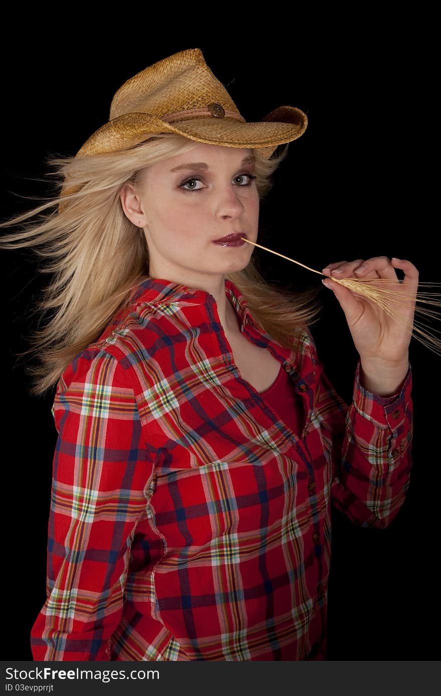 A young cowgirl in her plaid shirt chewing on a piece of wheat. A young cowgirl in her plaid shirt chewing on a piece of wheat.