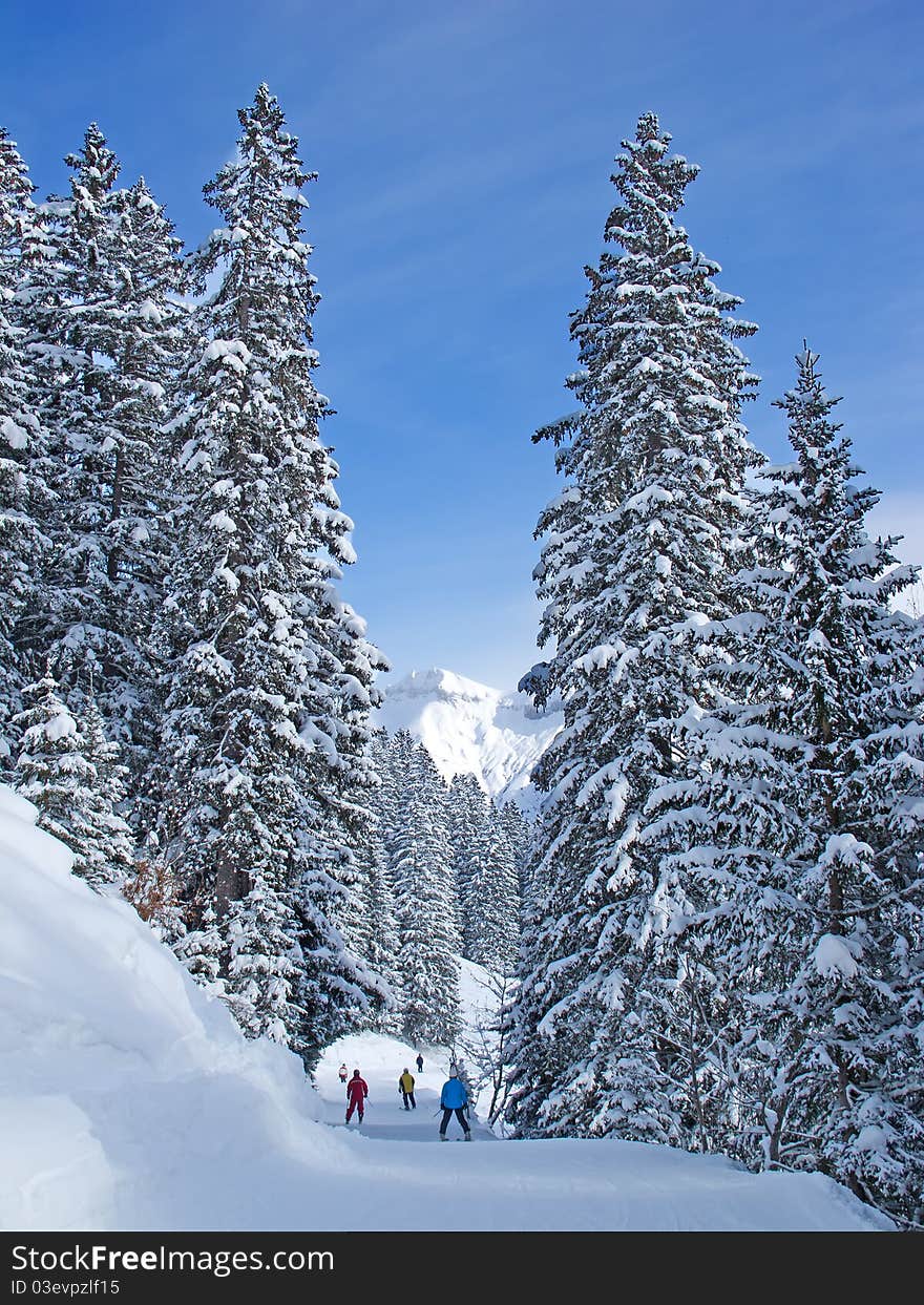 Skiing slope