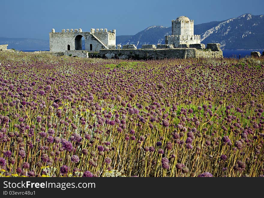 Methoni Castle at sunny summer day, purple weed in foreground, blurred hills in background. Methoni Castle at sunny summer day, purple weed in foreground, blurred hills in background.