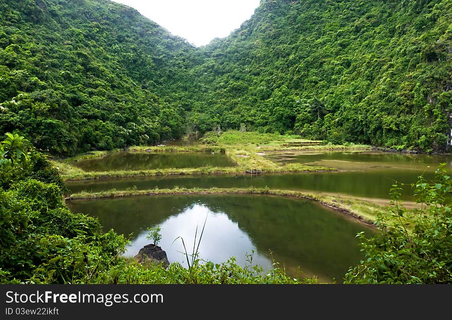 Cat ba island lake in halong bay vietnam. Cat ba island lake in halong bay vietnam