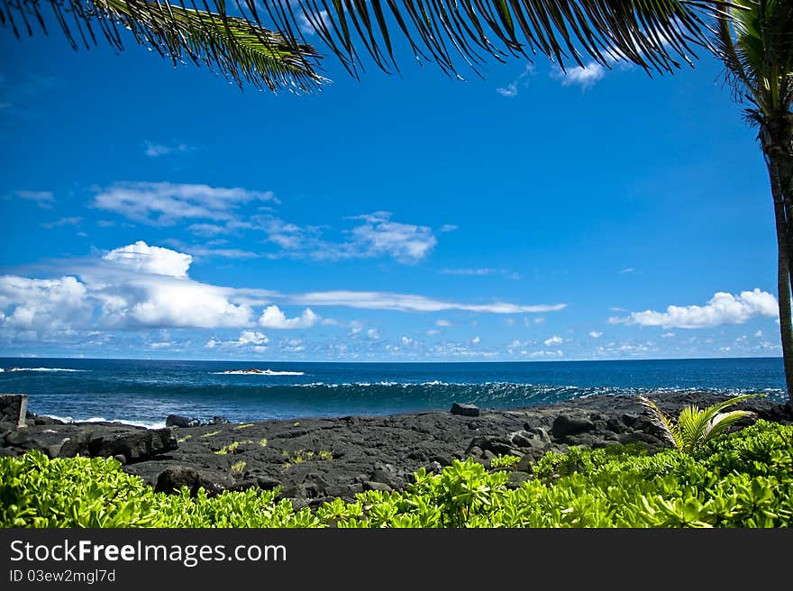 Tropical Ocean View