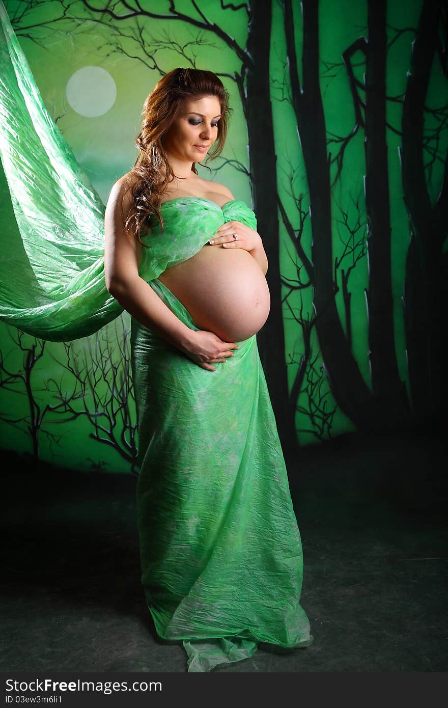 Portrait of a beautiful pregnant woman in green chiffon shawl