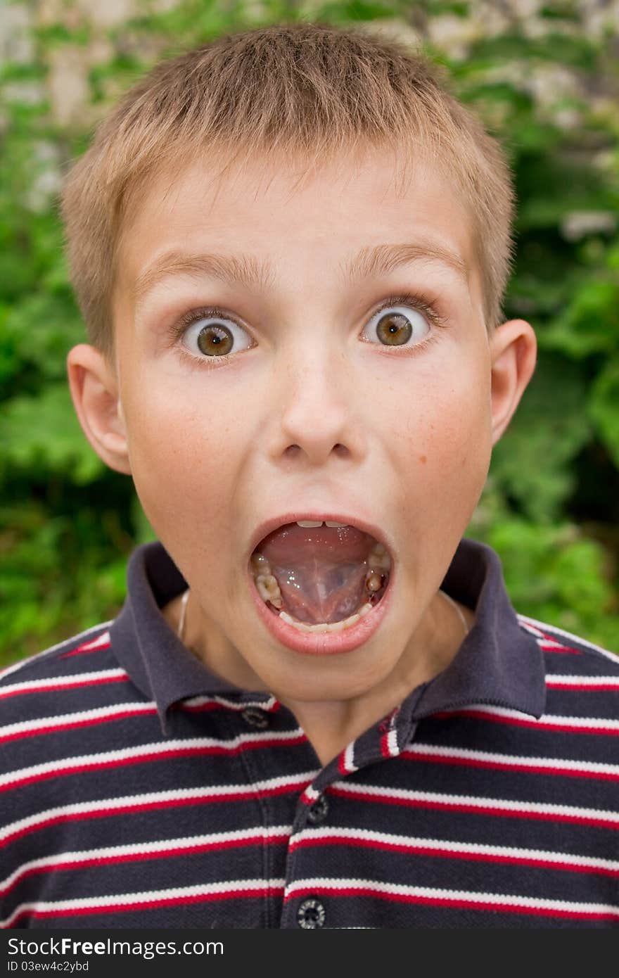 Portret of little surprised boy near flowers outdoors. Portret of little surprised boy near flowers outdoors