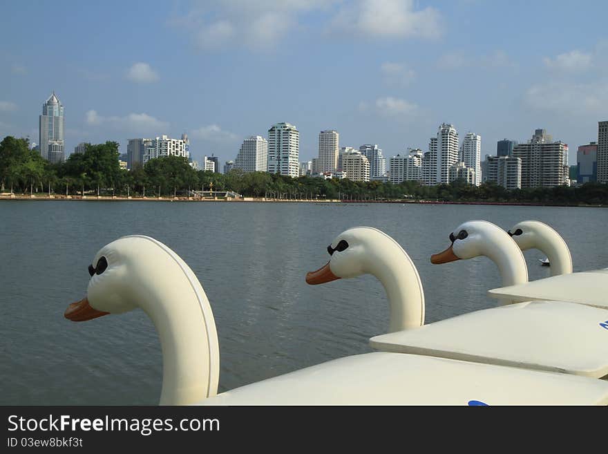 Paddle boats in the water park