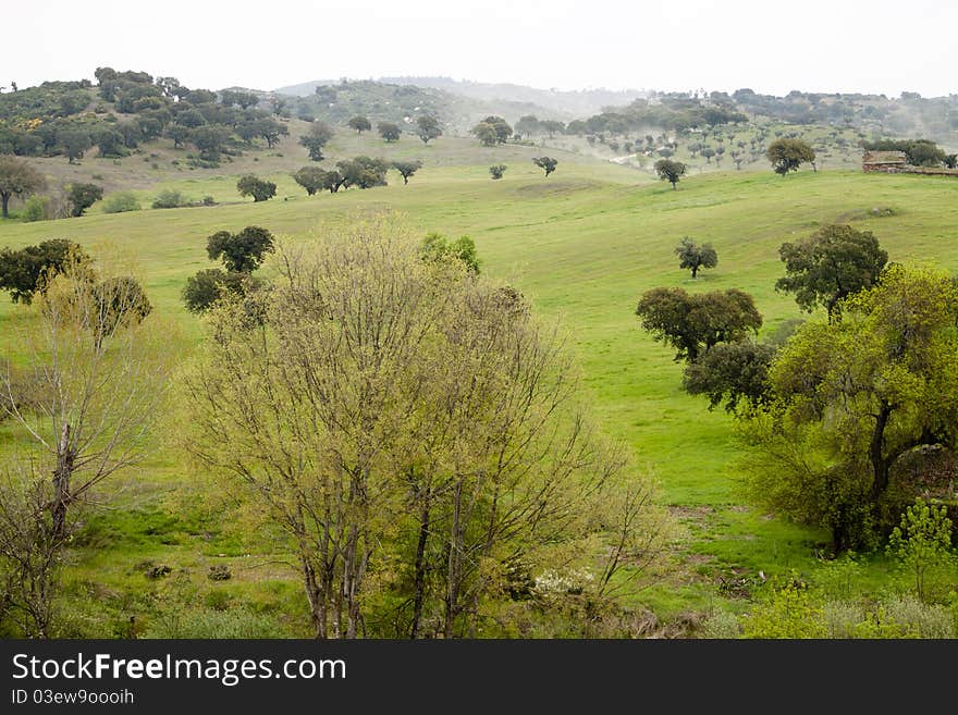 Countryside landscape in Idanha-a-Velha, Portugal