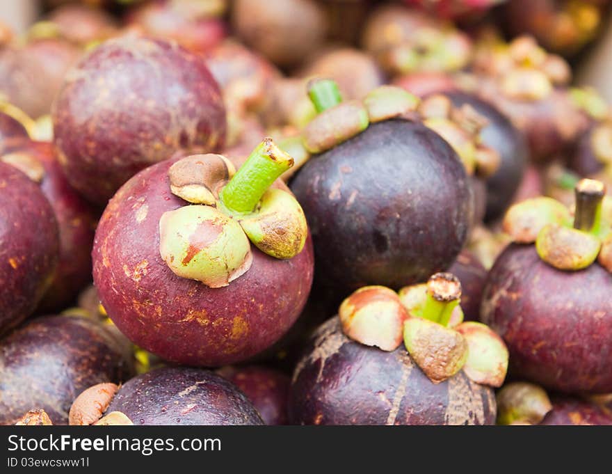 Tropical Fruit,Mangosteen,Queen of fruit in Thailand