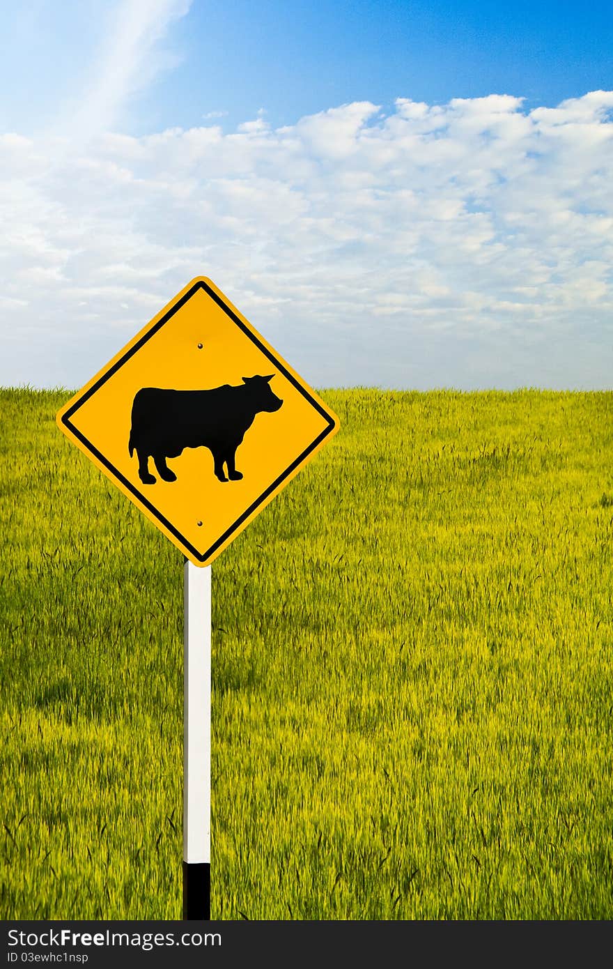 Cow signboard in rice field