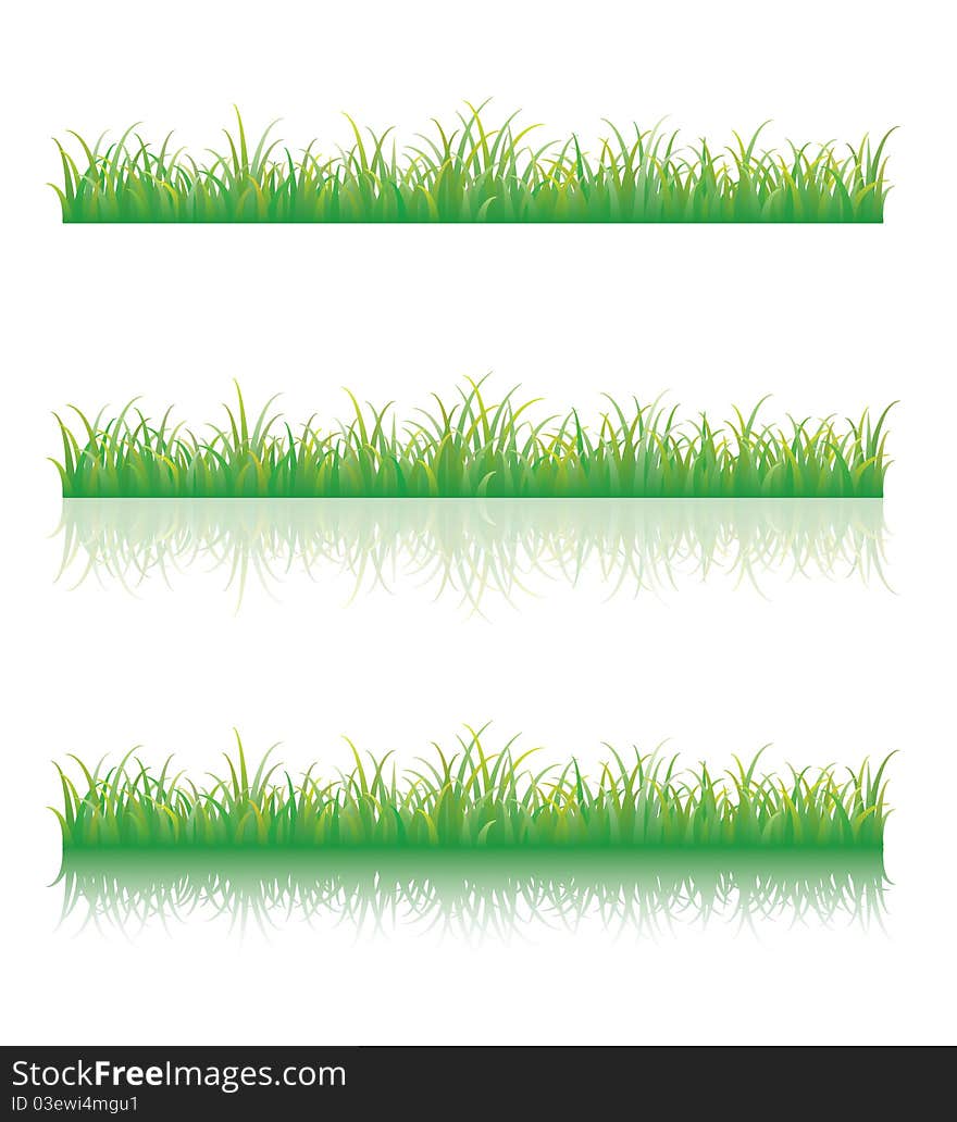 Green grass isolated on white