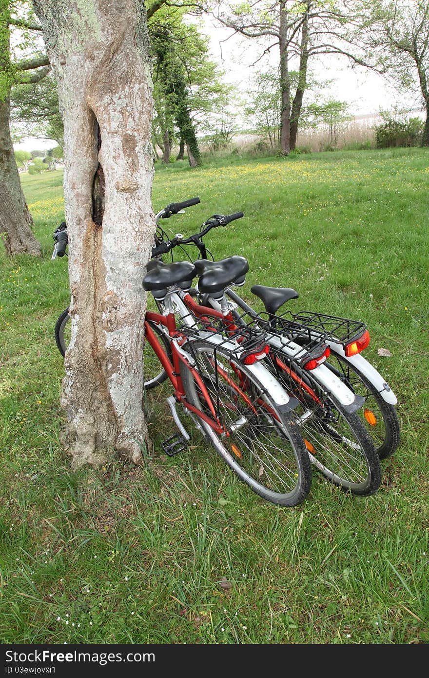 Closeup of bicycles in countryside. Closeup of bicycles in countryside