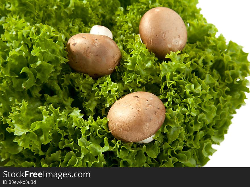 Three small Mushrooms in a green salad. Three small Mushrooms in a green salad.