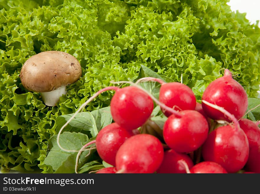 A mushroom within a salad with a bunch of radish in the foreground. A mushroom within a salad with a bunch of radish in the foreground.