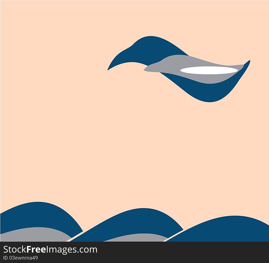 Aircraft And A Bird Flies Over The Ocean Waves