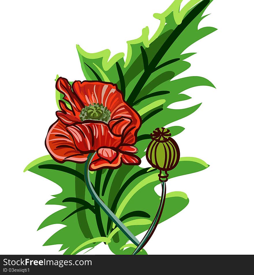 Vector clip-art with red poppy