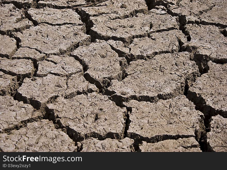 Dry Cracked Riverbed