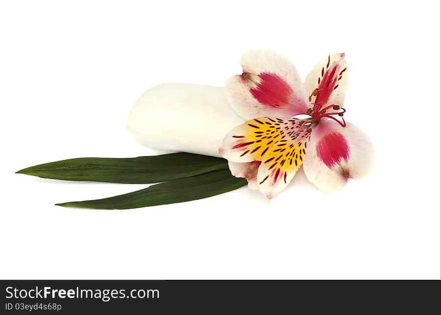 Orchid and white soap