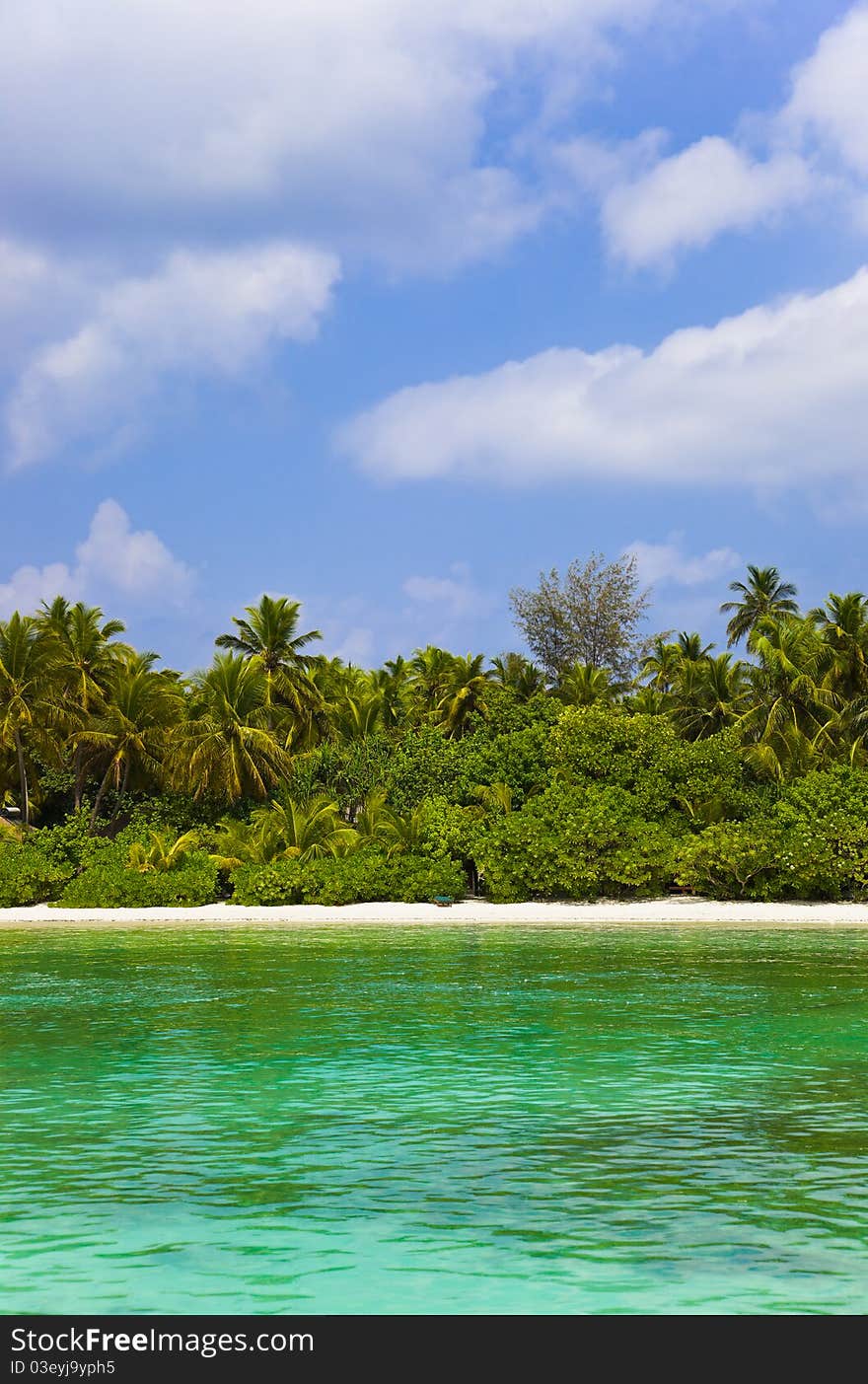 Tropical beach and jungle - maldives vacation background. Tropical beach and jungle - maldives vacation background