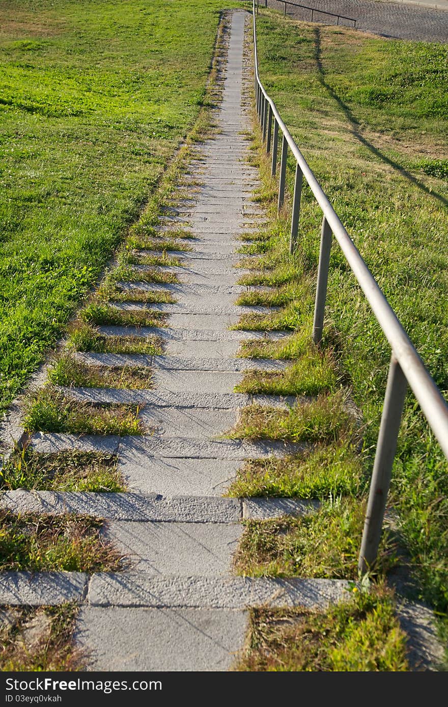 Green Grass Downstairs