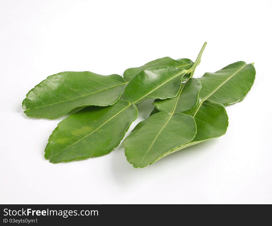 Kaffir lime leaf