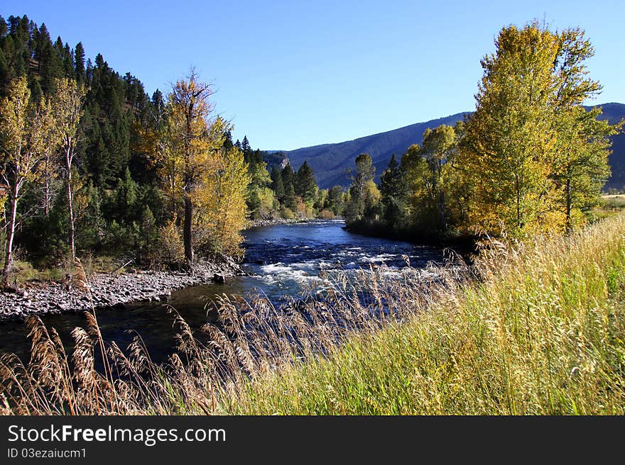 Beautiful River Scene