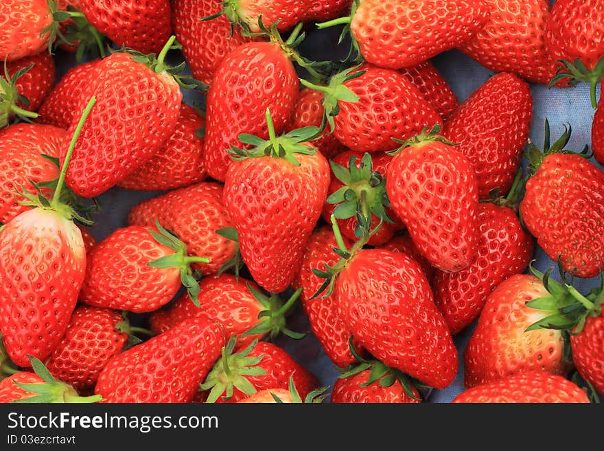 Red fresh strawberry in the market