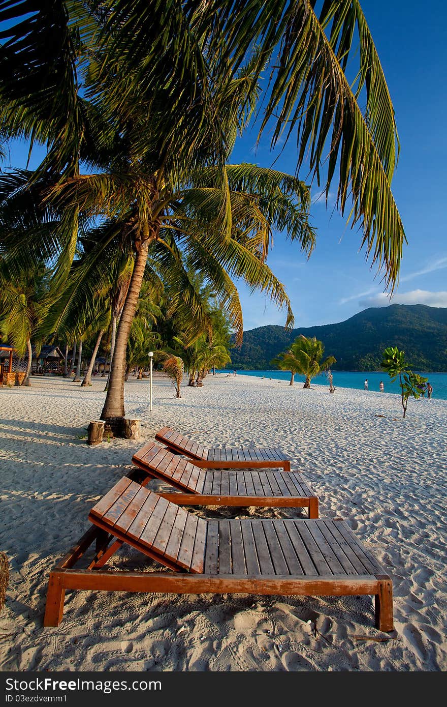 Bench with Palm forest