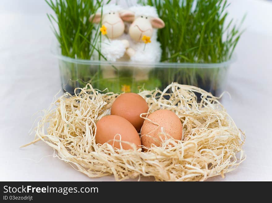 Easter decoration with two lamb on white background