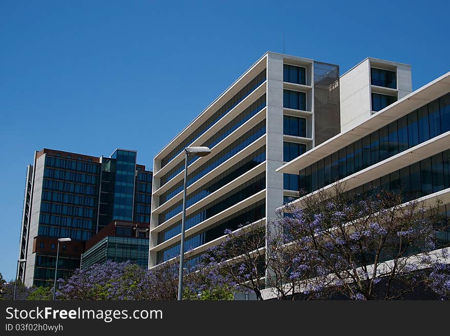 Modern office buildings in a financial district