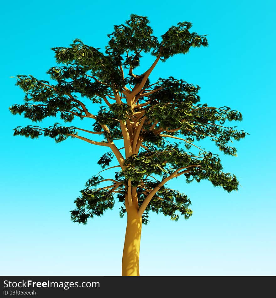 Sunny tree - isolated on blue sky