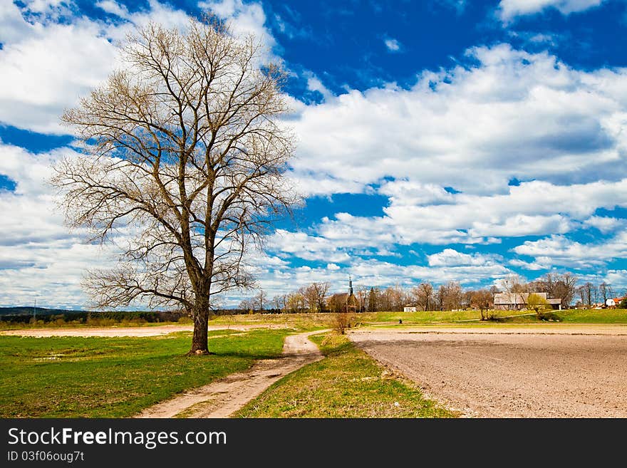 Spring Landscape