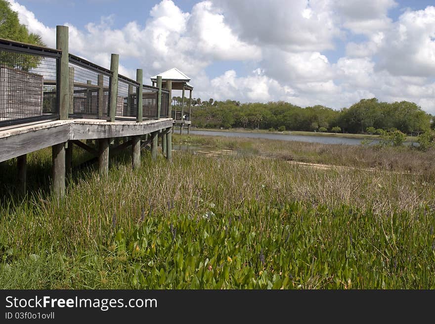 Nature Boardwalk to Viewing area