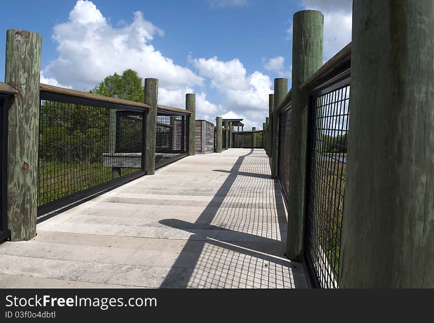 Low View of a Nature Boardwalk