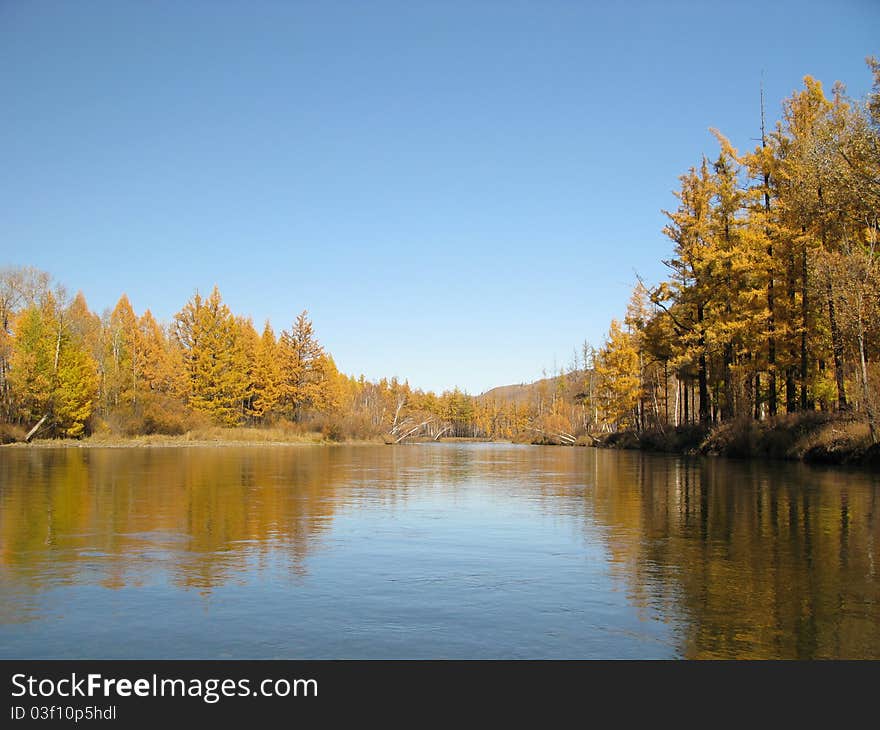 Pure river on wild nature