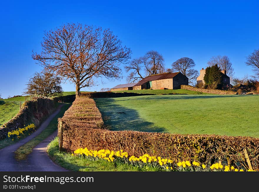 Lake District Farm