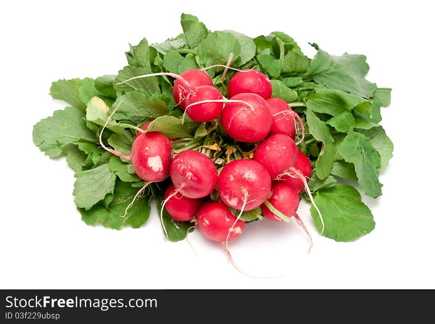 Some fresh radishes over a white background