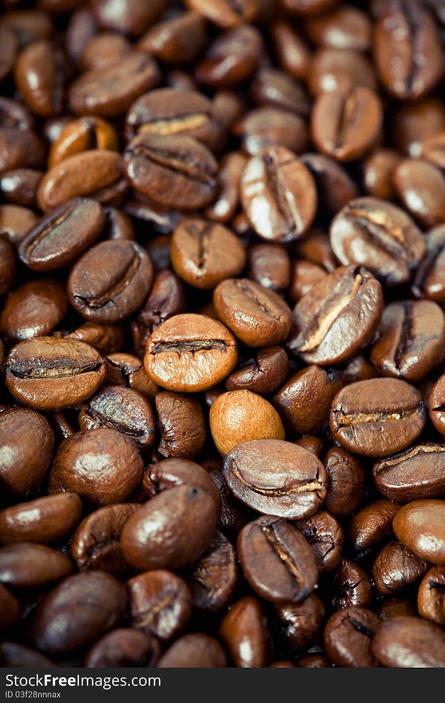 Coffee Beans with drops of water drops. Coffee Beans with drops of water drops