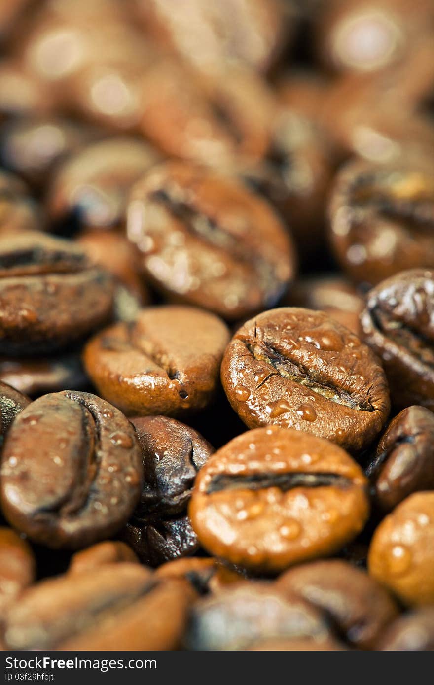 Coffee Beans with drops of water drops. Coffee Beans with drops of water drops