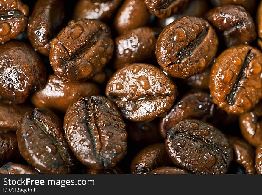 Coffee Beans, Water drops