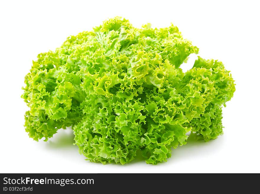 Fresh salad lettuce isolated on white