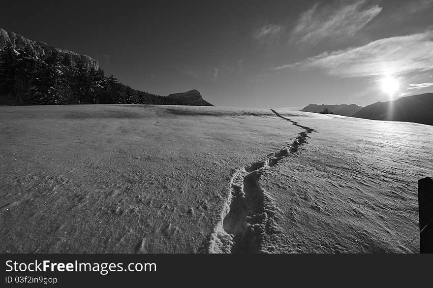 Tracks of hike