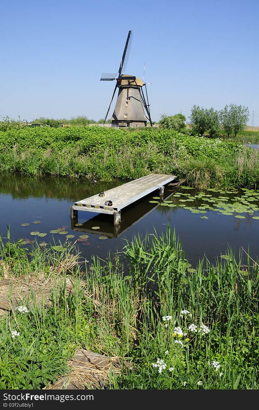 Nature at Kinderdijk