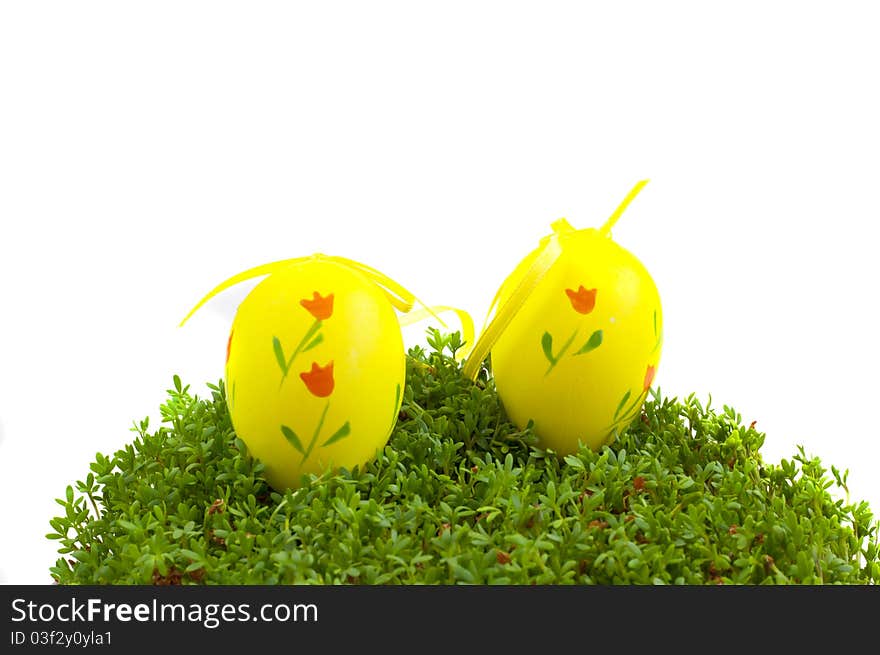 Easter eggs on cuckooflower on white background